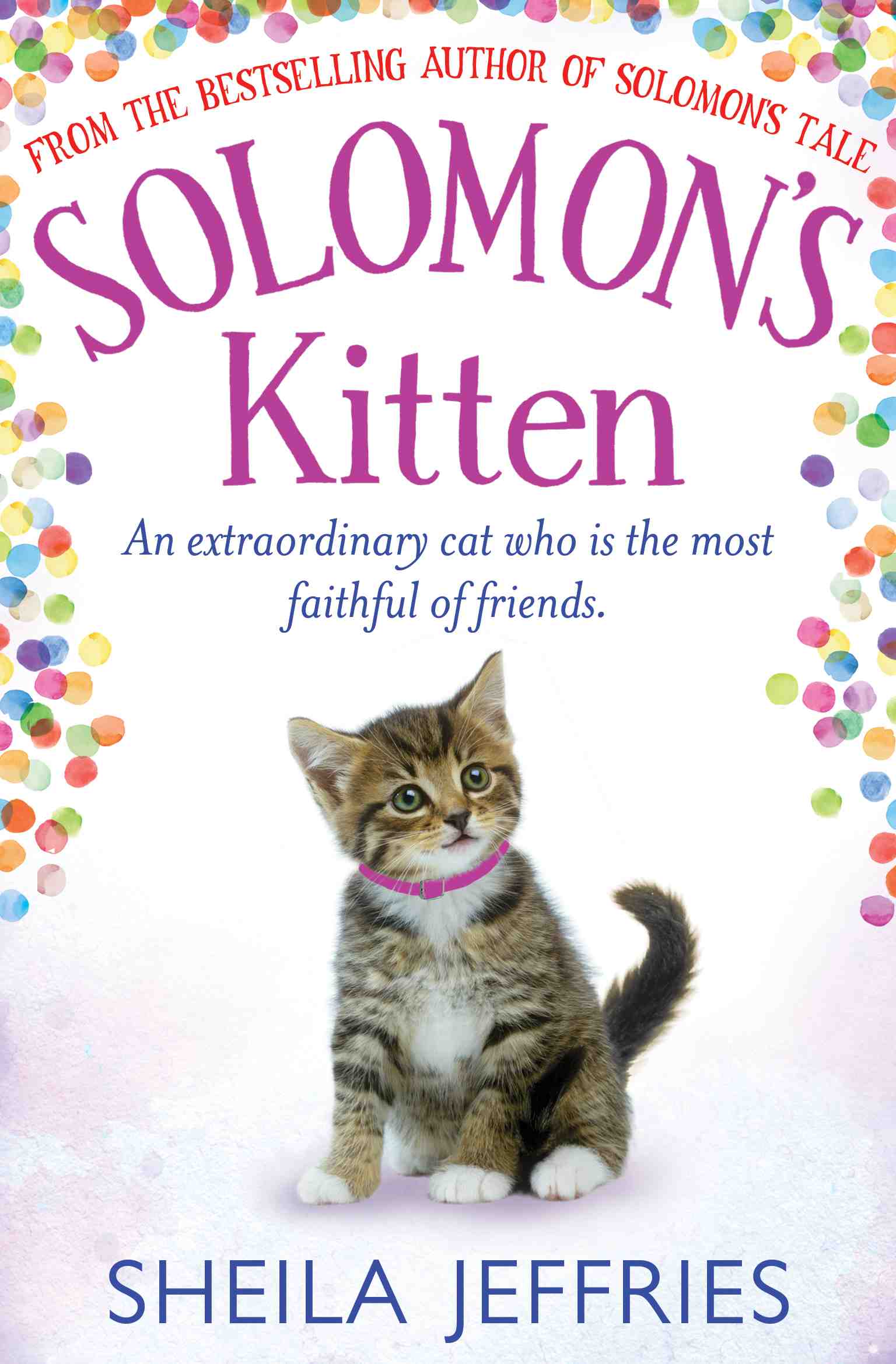 Sheila Jeffries - Solomon's Kitten